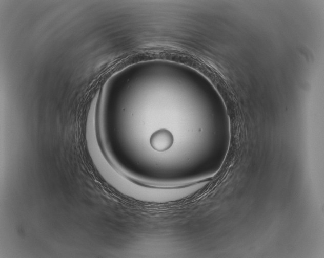 X0000113160965200909181808