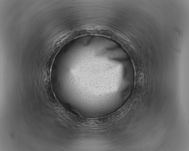 X0000113160966200909181808