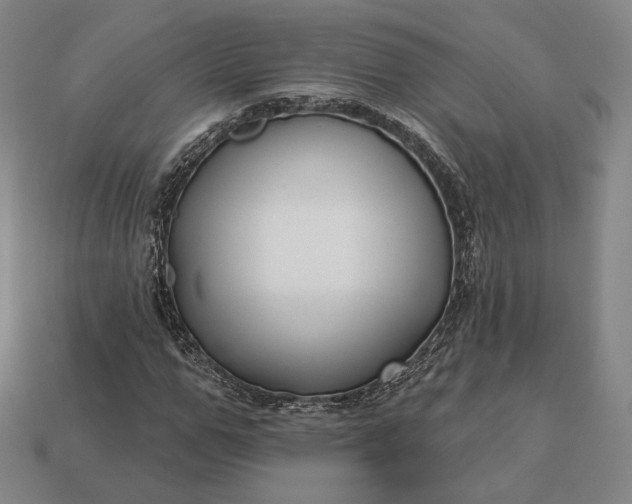 X0000113160967200909181808