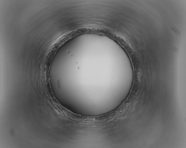 X0000113160968200909181808