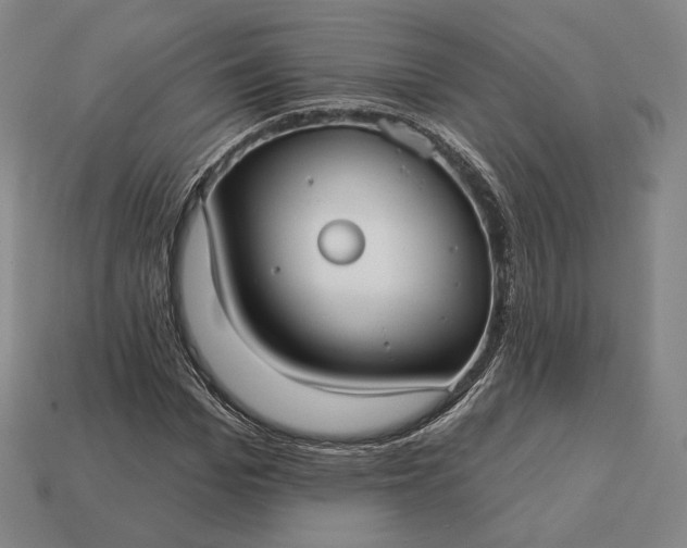 X0000113160969200909181808