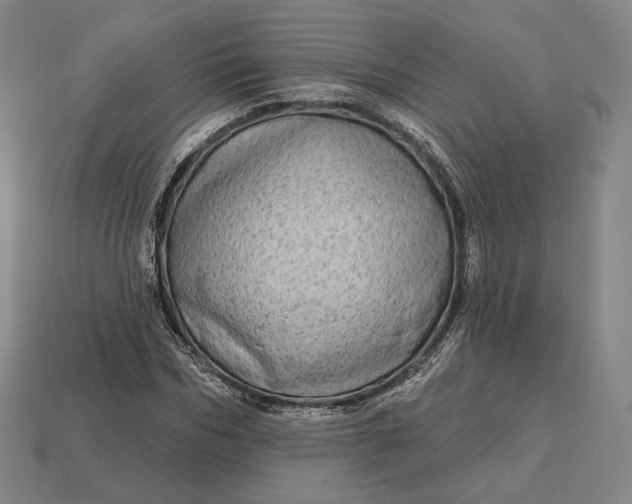 X0000113160970200909181808