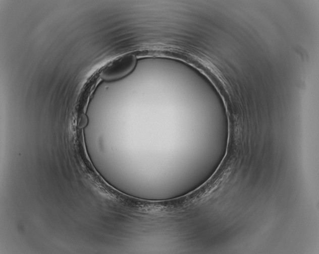 X0000113160971200909181808