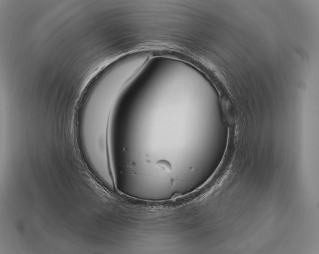 X0000113160973200909181808