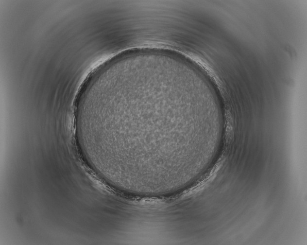 X0000113160974200909181808