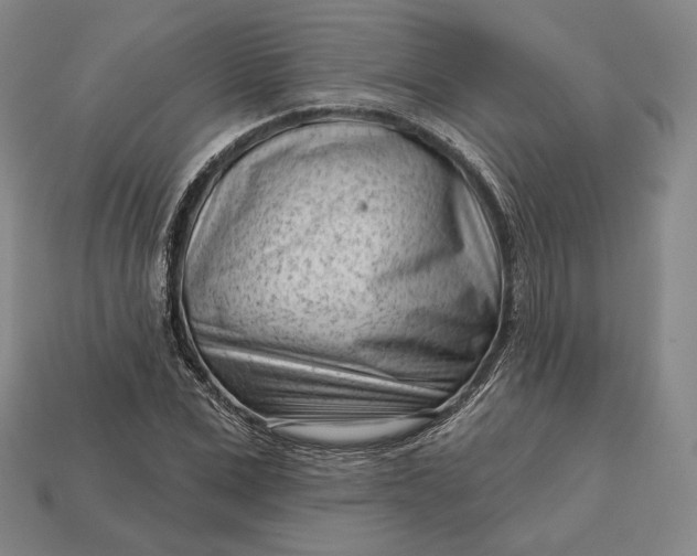 X0000113160975200909181808