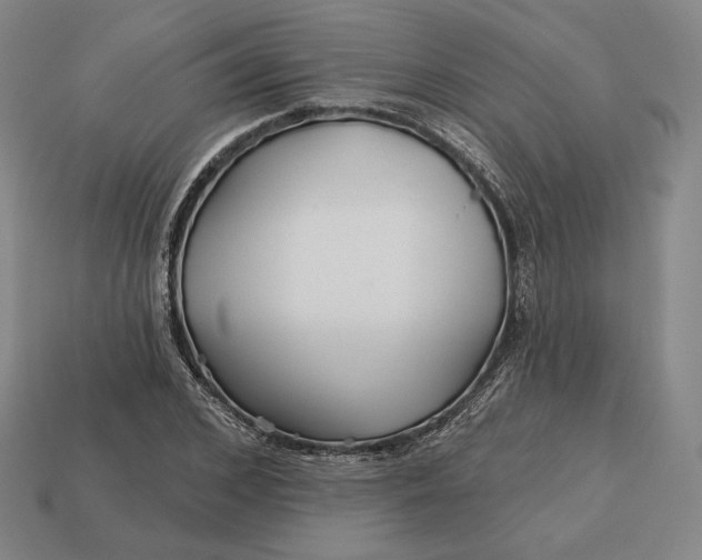 X0000113160976200909181808