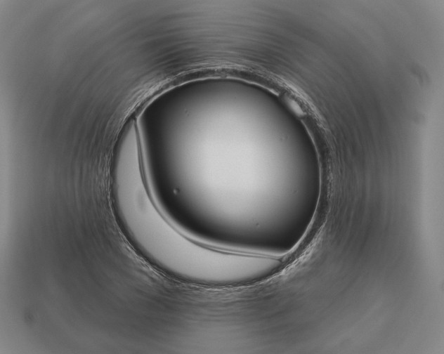 X0000113160977200909181808