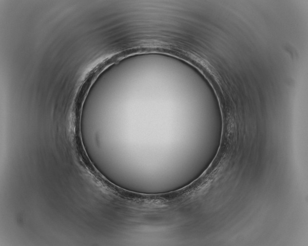 X0000113160979200909181808