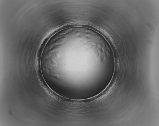 X0000113160981200909181808