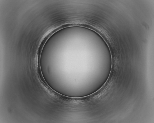 X0000113160982200909181808