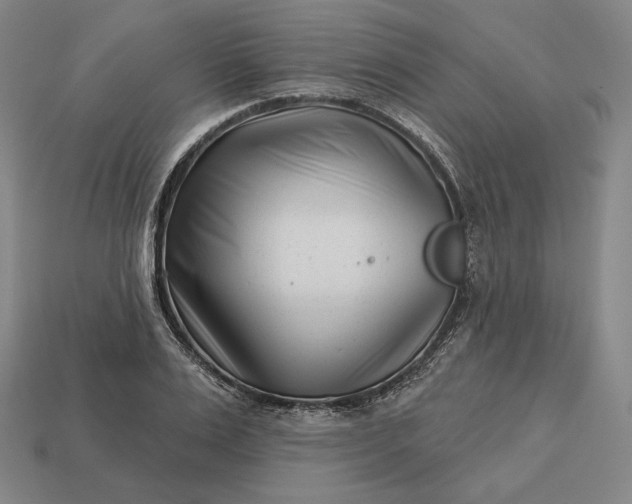 X0000113160983200909181808