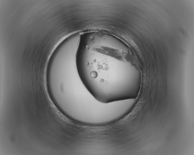 X0000113160984200909181808