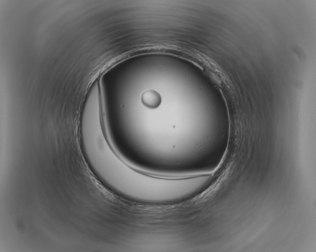 X0000113160985200909181808