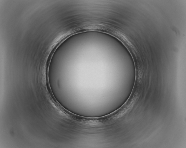 X0000113160986200909181808