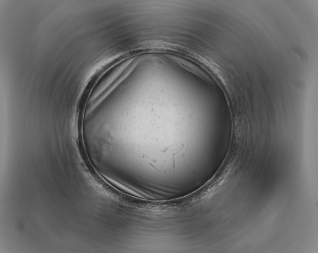 X0000113160987200909181808