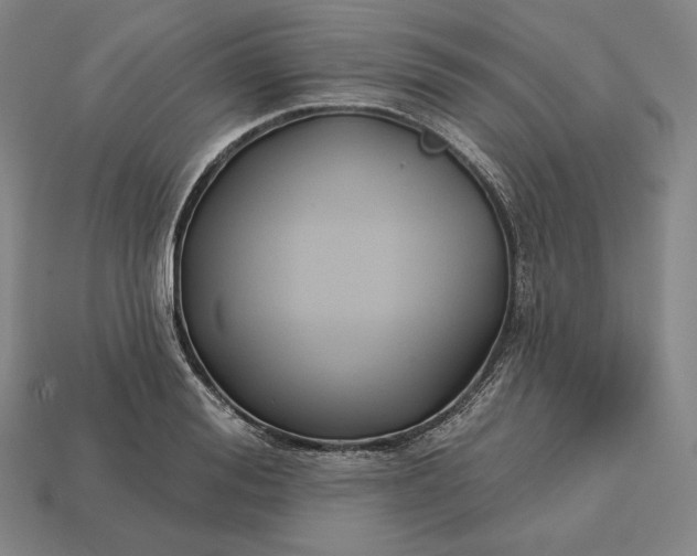 X0000113160988200909181808