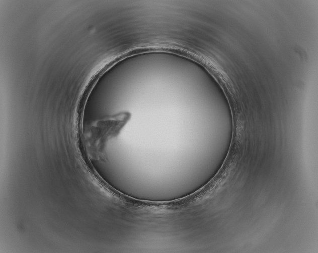 X0000113160990200909181808