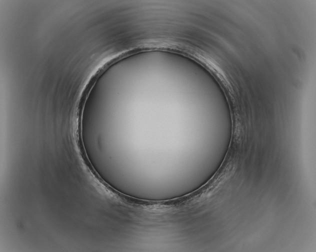 X0000113160992200909181808