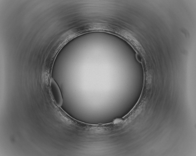 X0000113160993200909181808