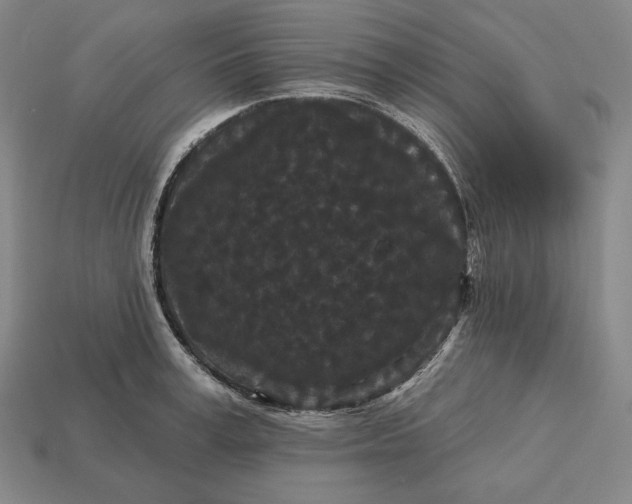 X0000113160995200909181807