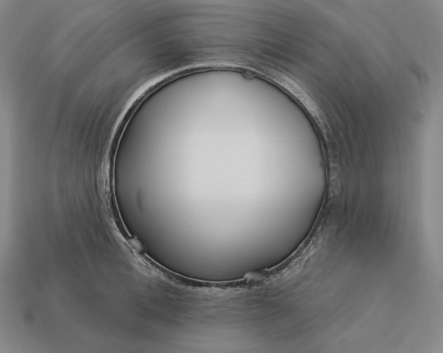 X0000113160996200909181807