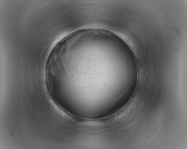 X0000113160998200909181807