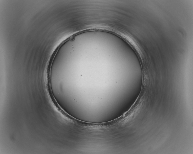 X0000113160999200909181807