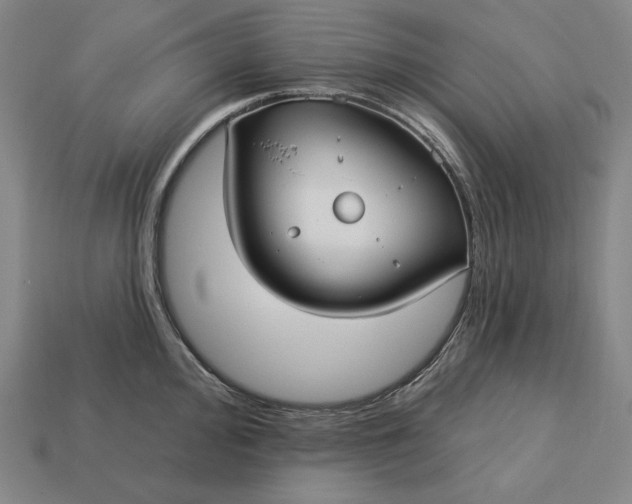 X0000113161000200909181807