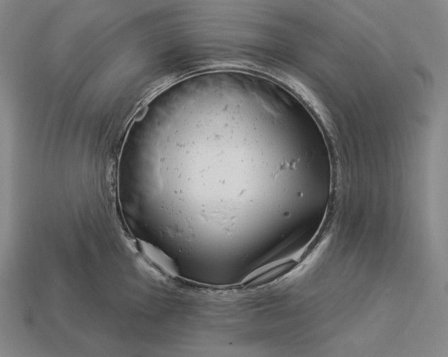 X0000113161001200909181807