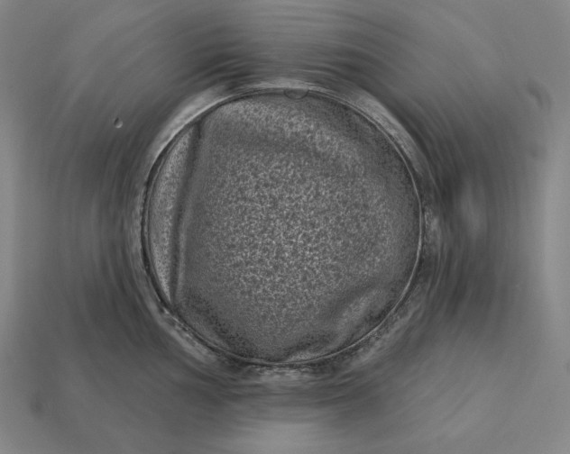 X0000113161002200909181807