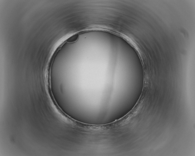 X0000113161003200909181807