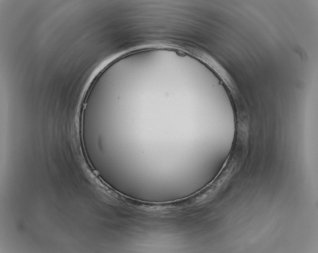 X0000113161004200909181807