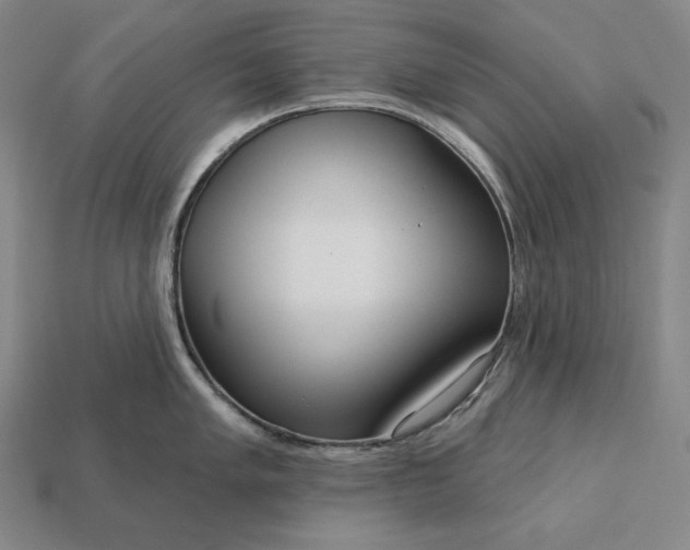 X0000113161005200909181807