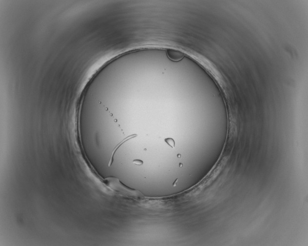 X0000113161006200909181807