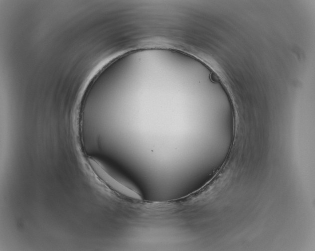 X0000113161008200909181807