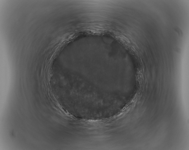 X0000113161009200909181807