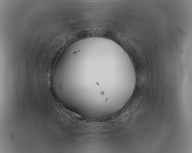 X0000113161010200909181807