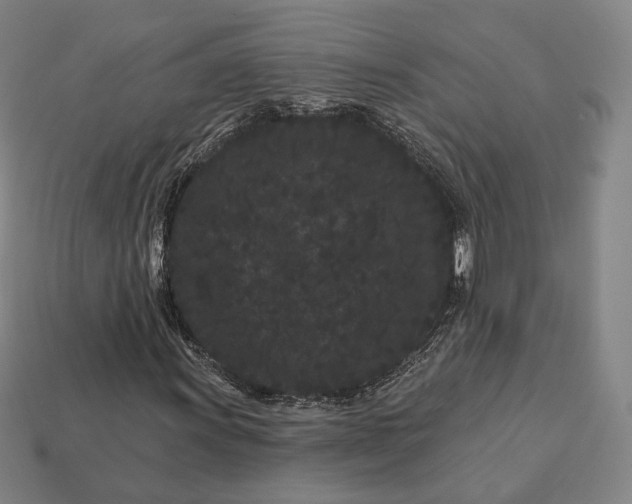 X0000113161011200909181807