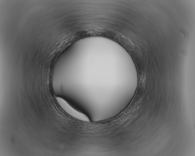 X0000113161012200909181807