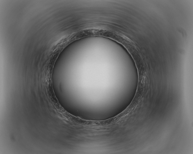 X0000113161014200909181807