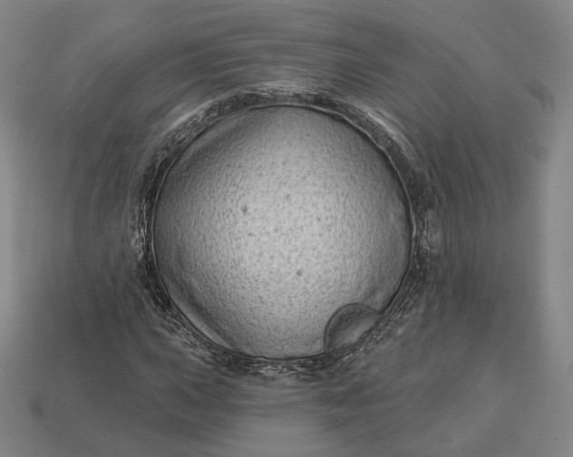 X0000113161015200909181807