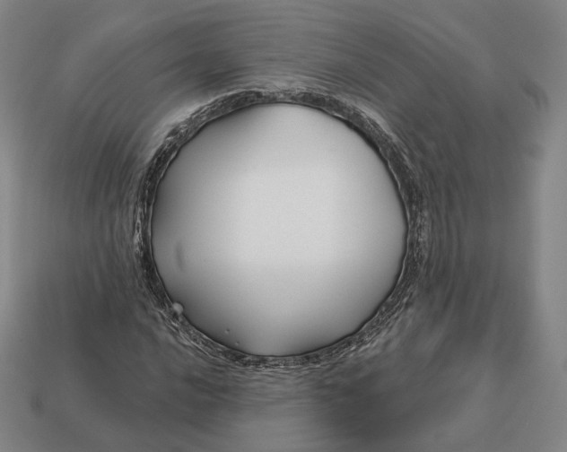 X0000113161016200909181807