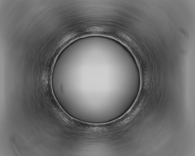 X0000113161017200909181807