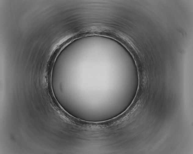 X0000113161018200909181807