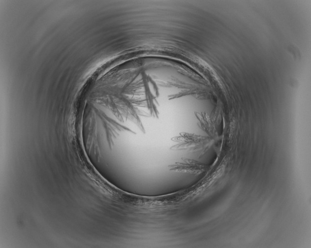 X0000113161019200909181807