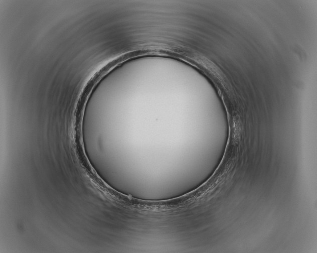 X0000113161020200909181807