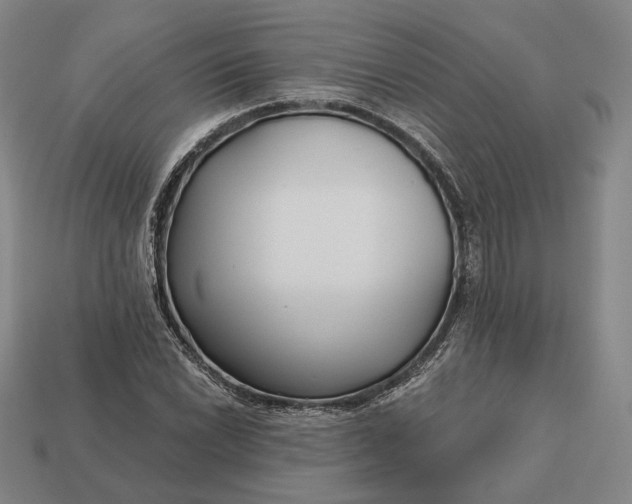 X0000113161022200909181807