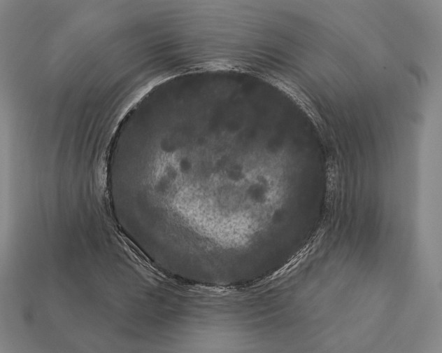 X0000113161023200909181807