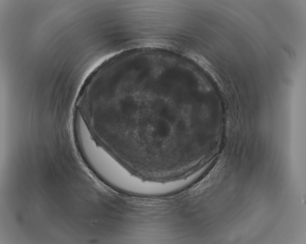 X0000113161024200909181807